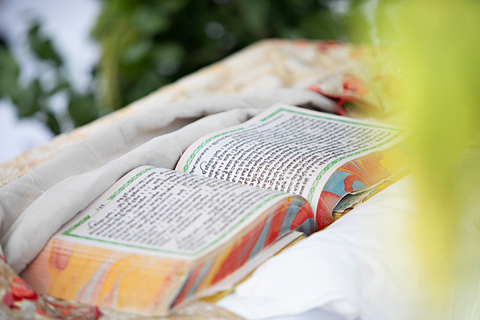 Three women in colorful outfits sitting on a bed of flowers.
