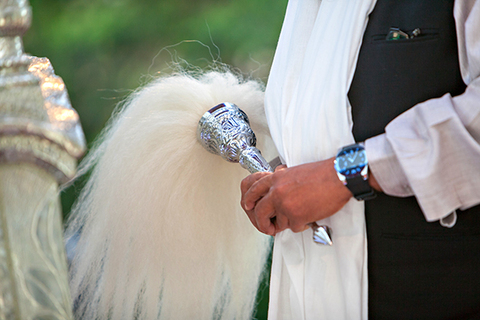 Three women in colorful outfits sitting on a bed of flowers.