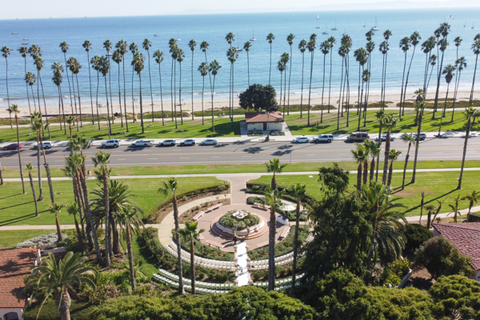Three women in colorful outfits sitting on a bed of flowers.